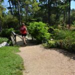 female jogger, running, green-2832118.jpg